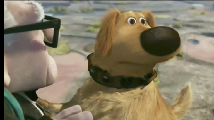 Squirrel!