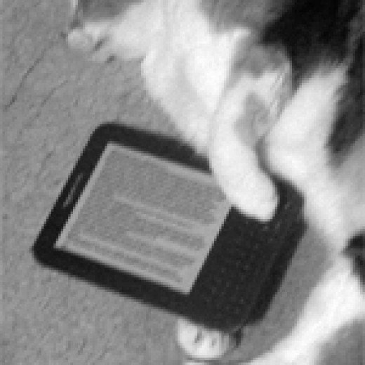 Bestseller on Kitty's Kindle