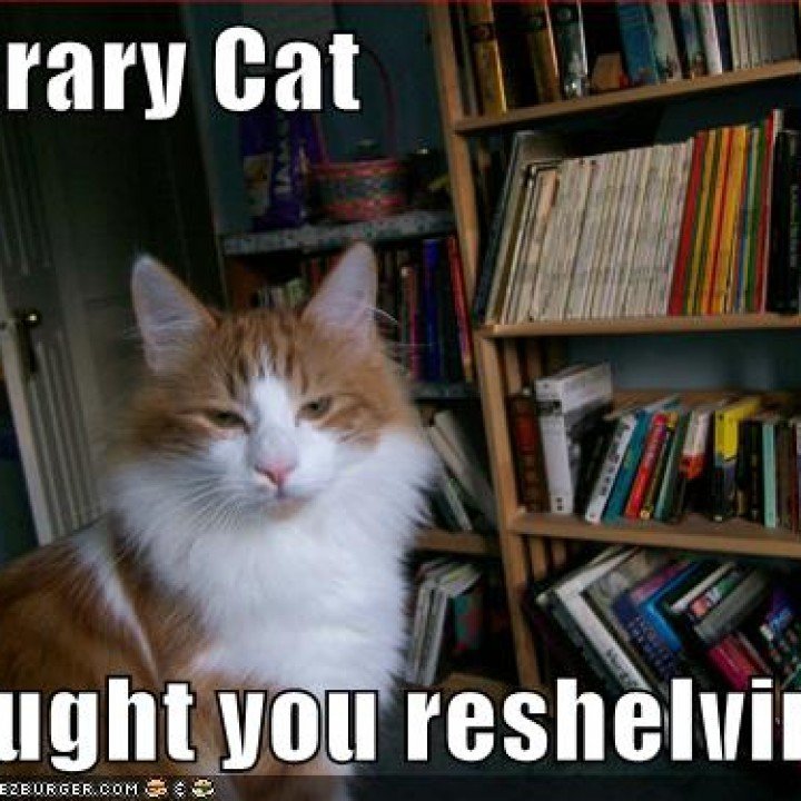 How Cats Get Your Book in Their Library