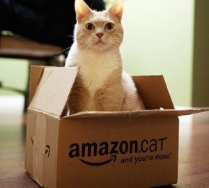 Like and Tag My Amazon Cat