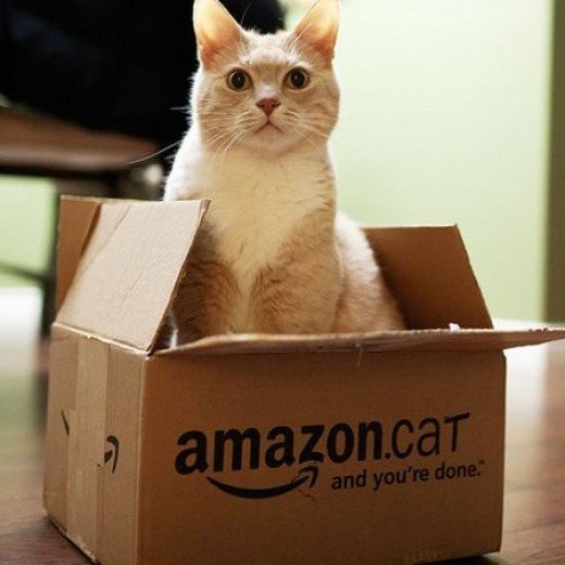 Like and Tag My Amazon Cat