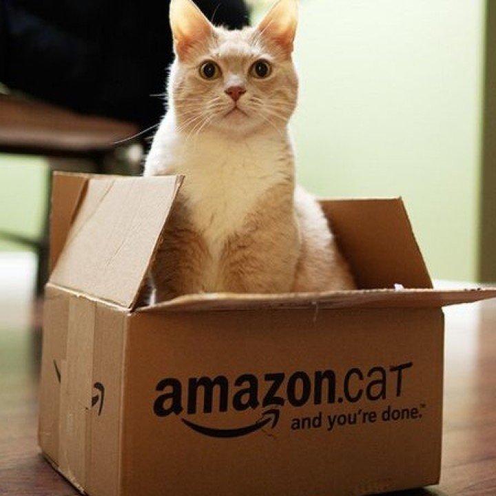Like and Tag My Amazon Cat