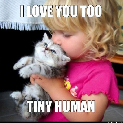 Kitty Gives Tiny Human a Testimonial