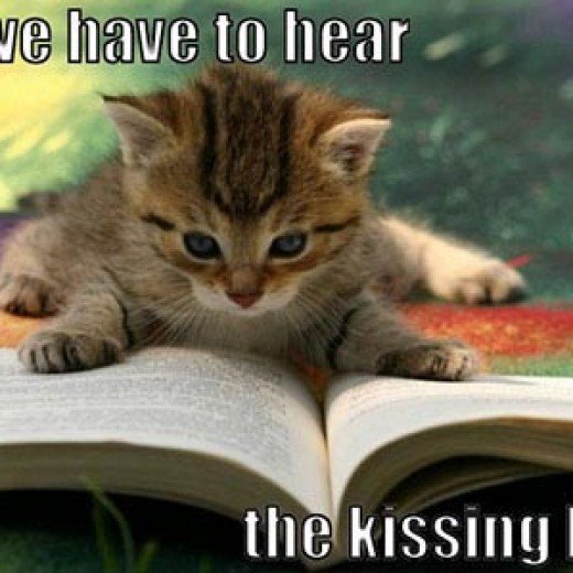 Examples of a Cat's Book Review