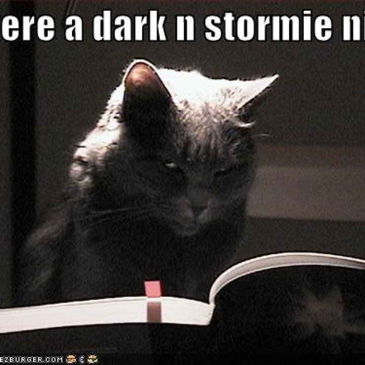 Scary cat reads aloud