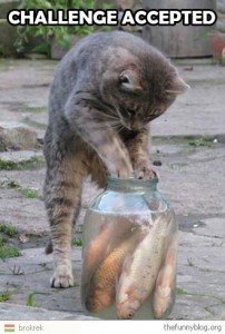 cat being a fish author says challenge accepted