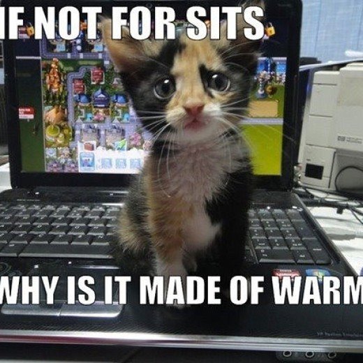 cat on keyboard interrupts edit of my book