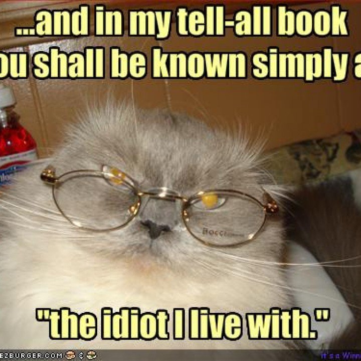 cat submits story to anthology