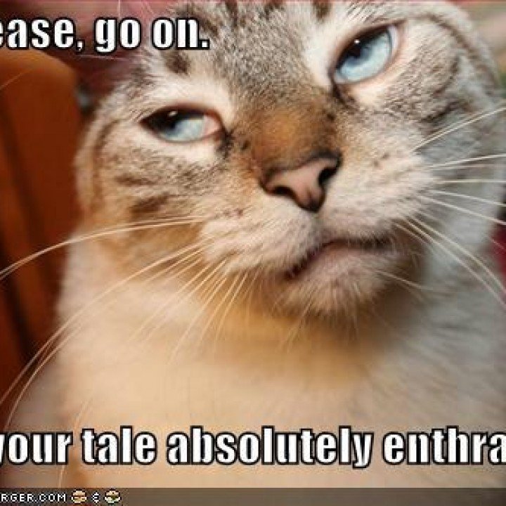 Cat gives a bad book review