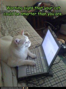 Your cat does SEO for YouTube