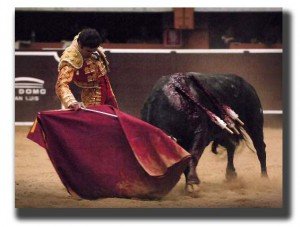 matador and bull