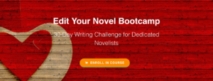 edit-your-novel-intensive-homestudy-course