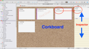 THE CORKBOARD