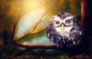 wise owl