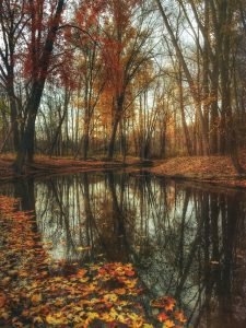 aaron-burden-AtDUYurMJIU-unsplash