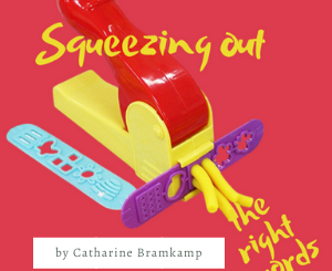 Squeezing the Write Words by Catharine Bramkamp