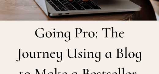 Going Pro: The Journey Using a Blog to Make a Bestseller by Marilyn Flower