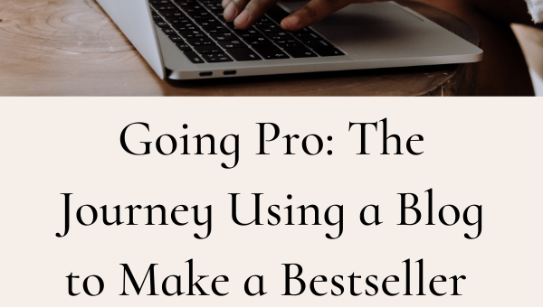 Going Pro: The Journey Using a Blog to Make a Bestseller by Marilyn Flower
