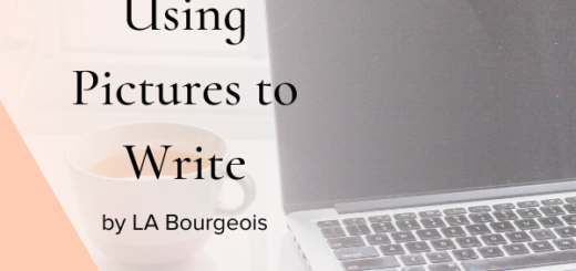 Image Play: Using Pictures to Write by LA Bourgeois