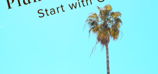 WFZ_Plan Your Novel: Start with Genre by Beth Barany_v01 (600 x 600 px)