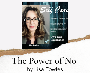 The Power of No by Lisa Towles