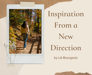 Inspiration From a New Direction by LA Bourgeois