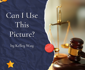 Can I Use This Picture? by Kelley Way
